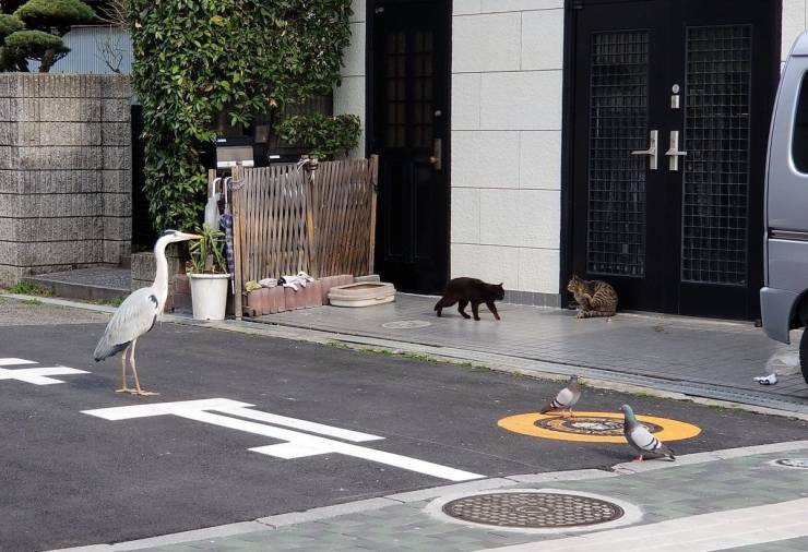 daily picdump 96 pics 8.html - 96 HD Photos | Premium Gallery 2019