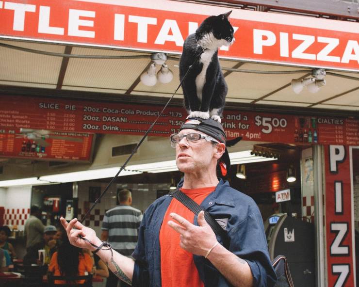 daily picdump 96 pics 8.html - 96 HD Photos | Premium Gallery 2019