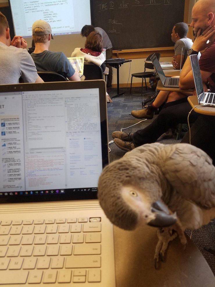 daily picdump 96 pics 8.html - 96 HD Photos | Premium Gallery 2019