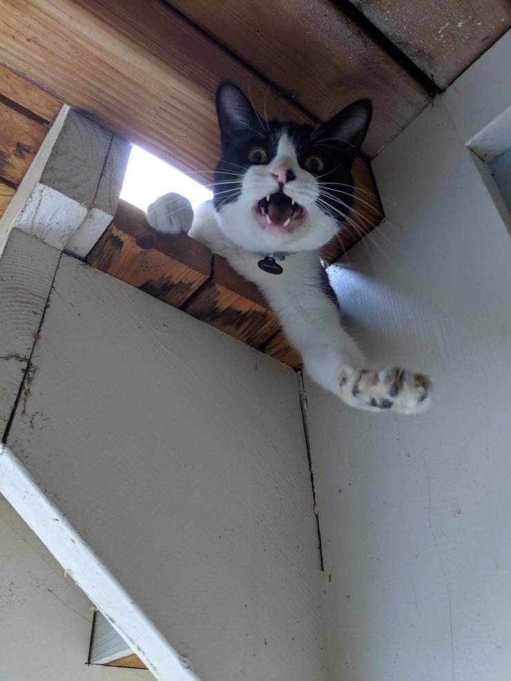 daily picdump 96 pics 8.html - 96 HD Photos | Premium Gallery 2019