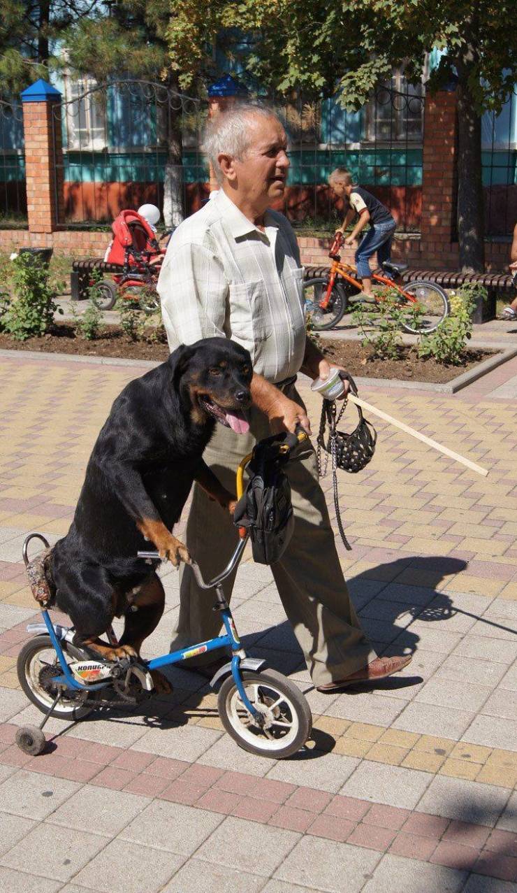 daily picdump 96 pics 8.html - 96 HD Photos | Premium Gallery 2019