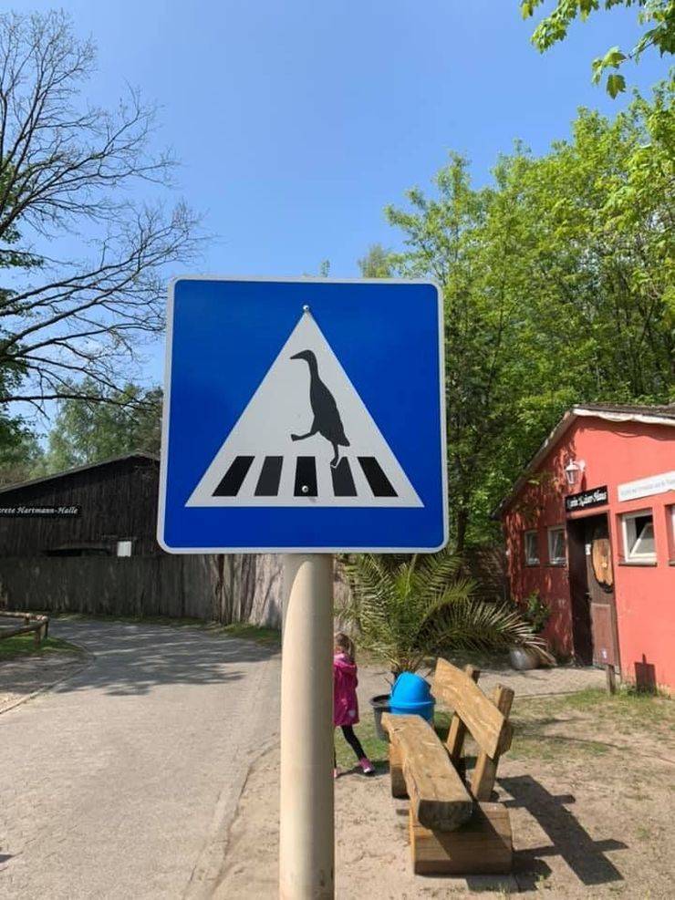 daily picdump 96 pics 8.html - 96 HD Photos | Premium Gallery 2019