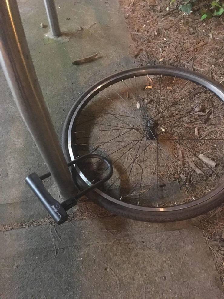 daily picdump 96 pics 8.html - 96 HD Photos | Premium Gallery 2019