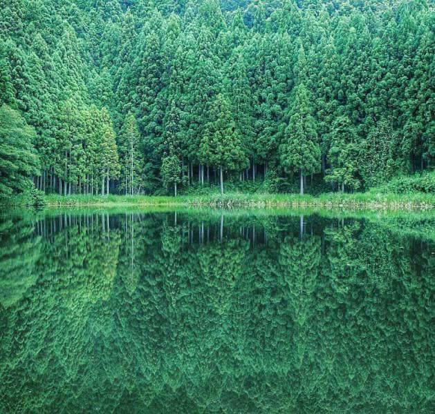 page,3,top 250 morning pics of the year 2019.html - 1 HD Photos | Premium Gallery 2019