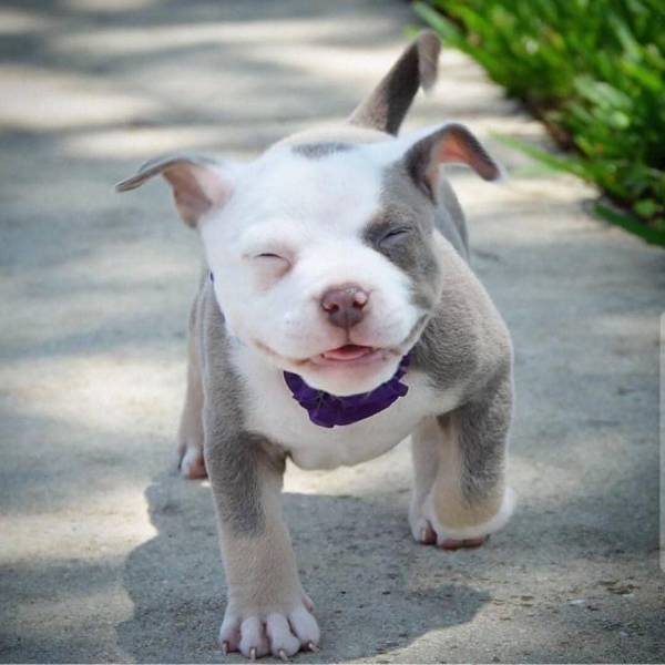 daily picdump 102 pics 9.html - 102 HD Photos | Premium Gallery 2019