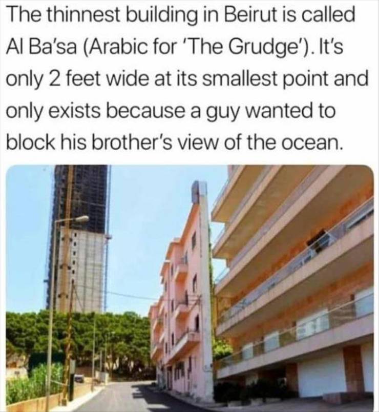 funny picdump 50 pics 1.html - 50 HD Photos | Premium Gallery 2019