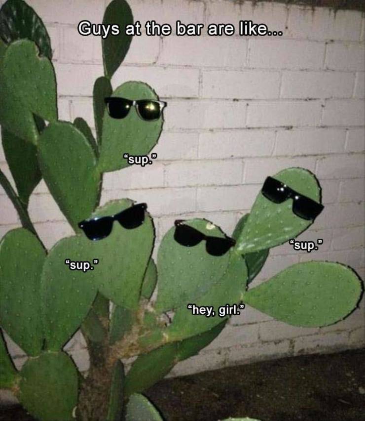 funny picdump 50 pics 1.html - 50 HD Photos | Premium Gallery 2019