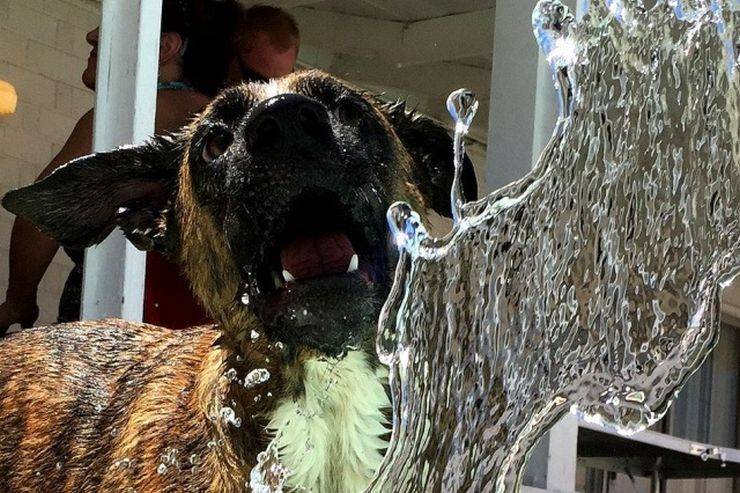 daily picdump 96 pics 13.html - 96 HD Photos | Premium Gallery 2019