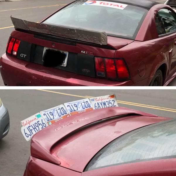 daily picdump 96 pics 13.html - 96 HD Photos | Premium Gallery 2019