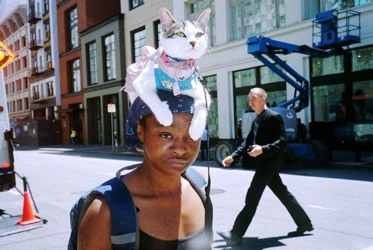 daily picdump 96 pics 13.html - 96 HD Photos | Premium Gallery 2019