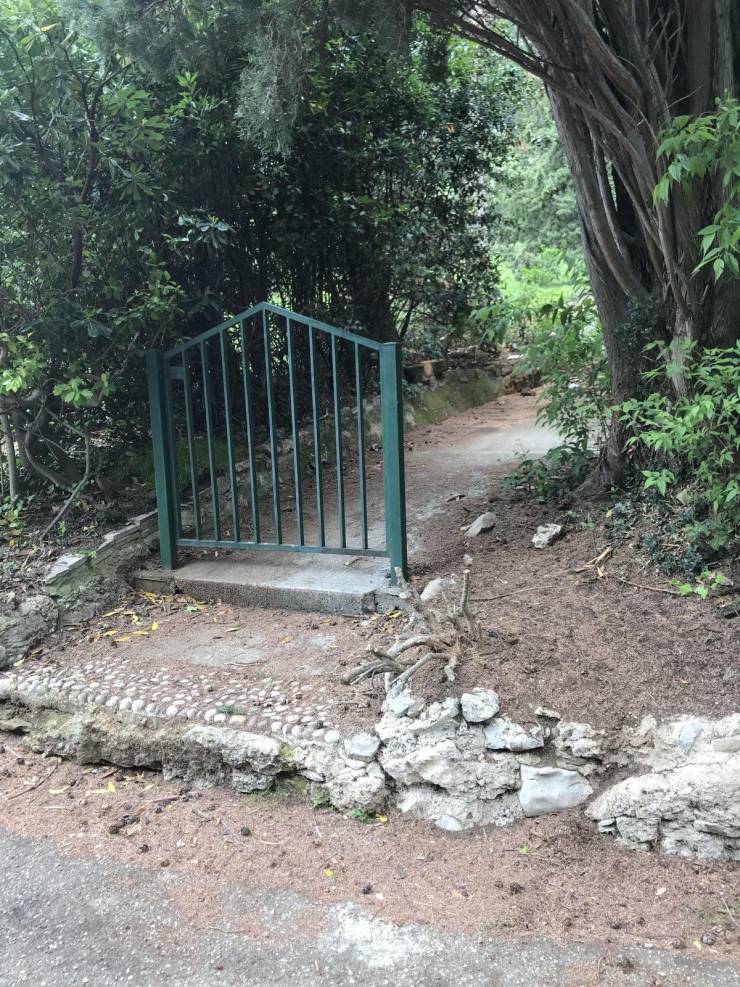 daily picdump 96 pics 13.html - 96 HD Photos | Premium Gallery 2019