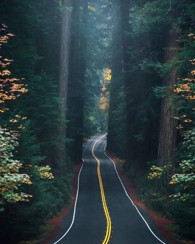 daily picdump 96 pics 13.html - 96 HD Photos | Premium Gallery 2019