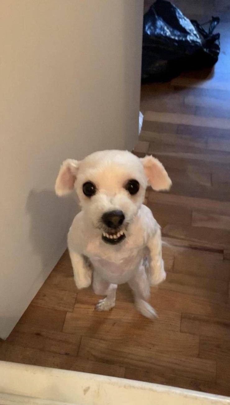 daily picdump 96 pics 13.html - 96 HD Photos | Premium Gallery 2019