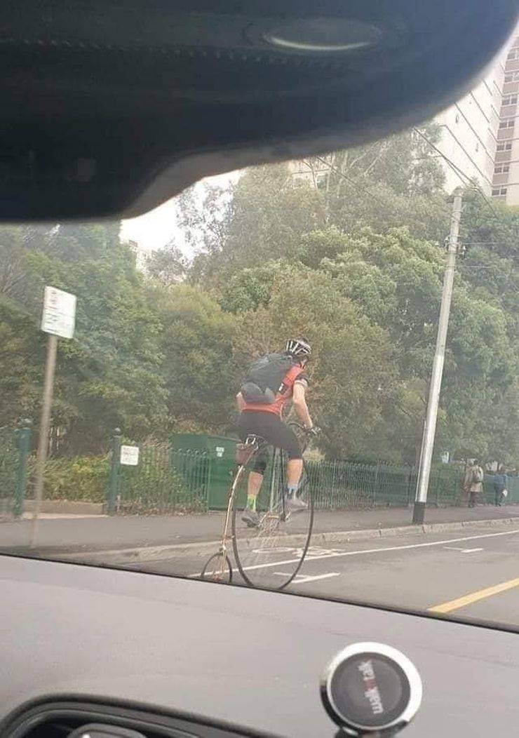 daily picdump 96 pics 13.html - 96 HD Photos | Premium Gallery 2019