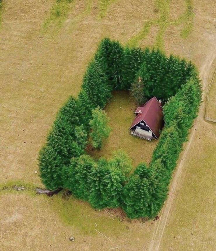 daily picdump 96 pics 13.html - 96 HD Photos | Premium Gallery 2019