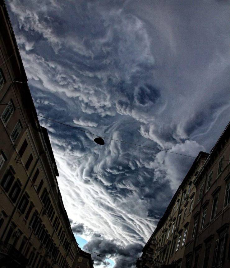 daily picdump 96 pics 13.html - 96 HD Photos | Premium Gallery 2019