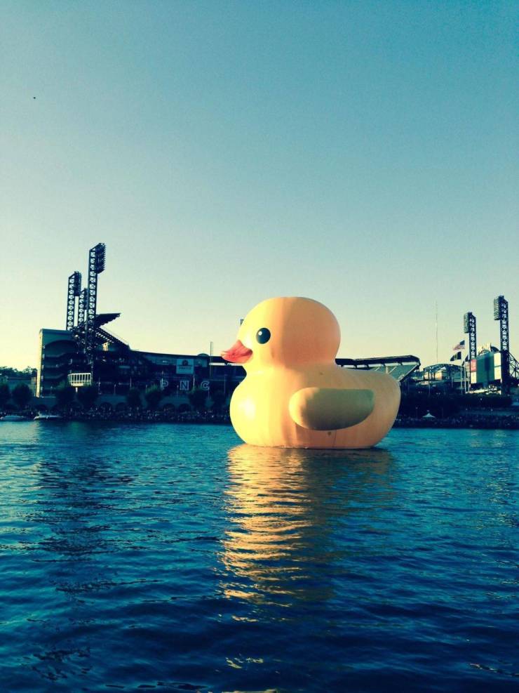 daily picdump 96 pics 13.html - 96 HD Photos | Premium Gallery 2019