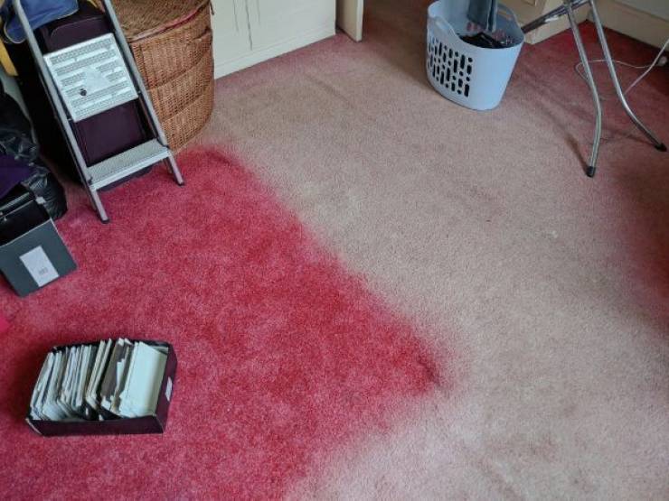 Photos That Are Full Of Excitement