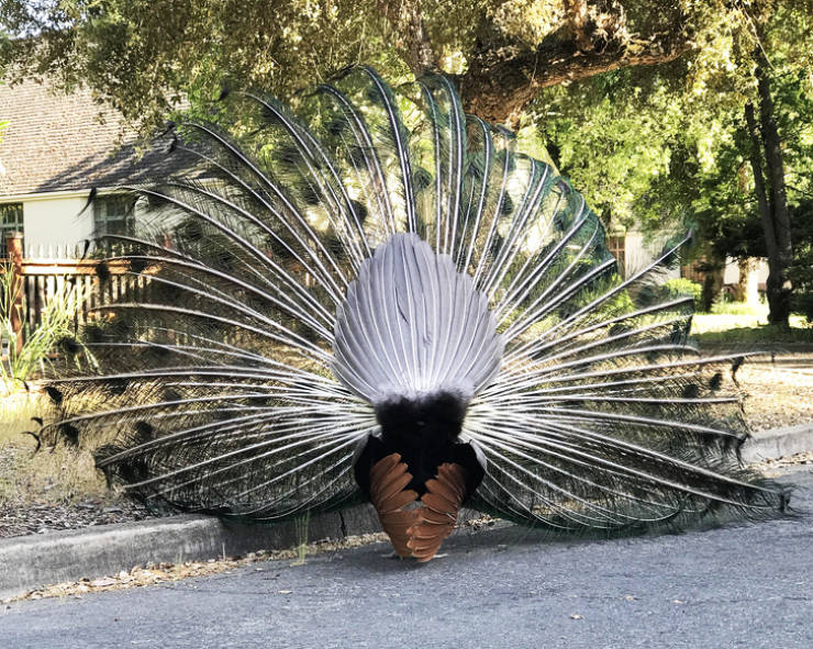 Photos That Are Full Of Excitement