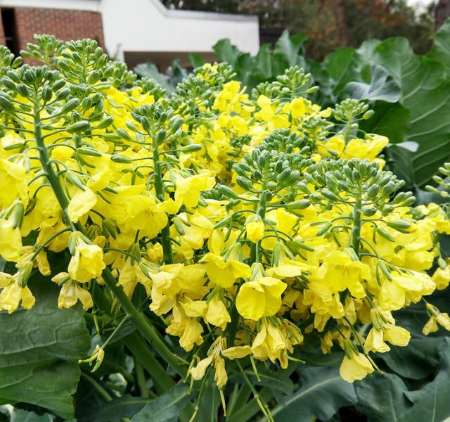 Photos That Are Full Of Excitement