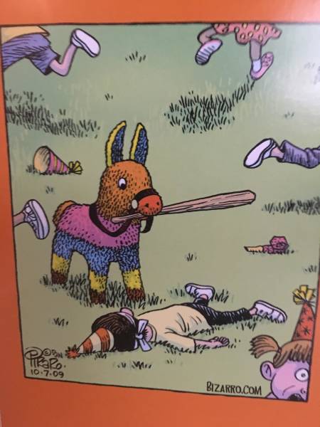 page,7,top 250 funny pics of the year 2019.html - 1 HD Photos | Premium Gallery 2019