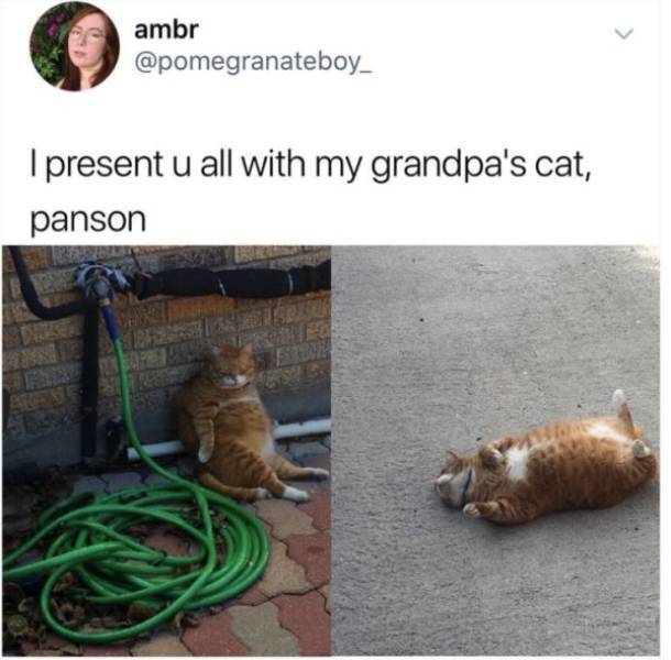 Still Think Size Doesn’t Matter?