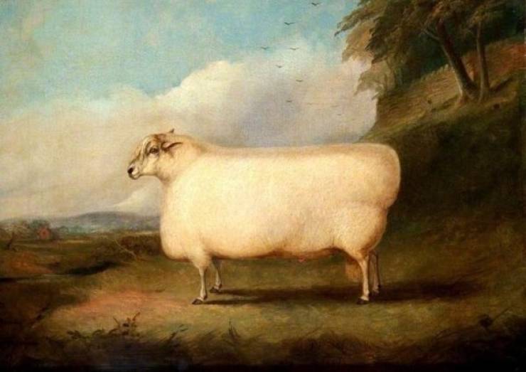 Still Think Size Doesn’t Matter?