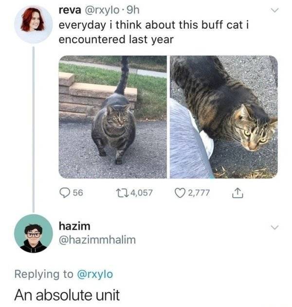 Still Think Size Doesn’t Matter?