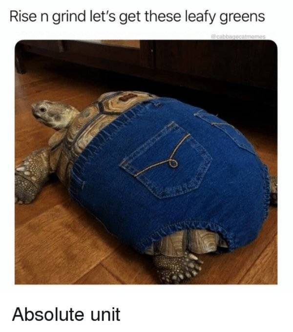 Still Think Size Doesn’t Matter?