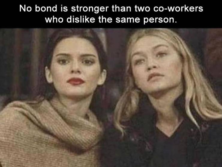 funny picdump 50 pics 17.html - 50 HD Photos | Premium Gallery 2019