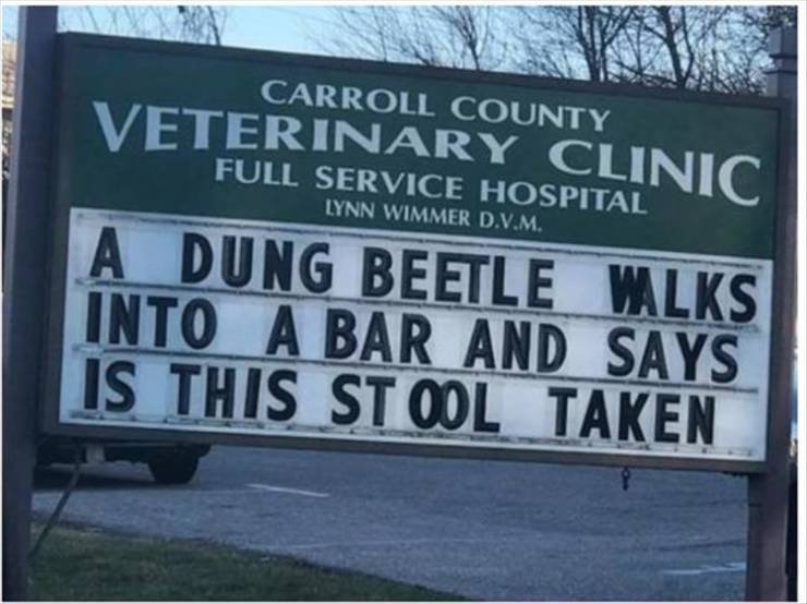 funny picdump 50 pics 17.html - 50 HD Photos | Premium Gallery 2019