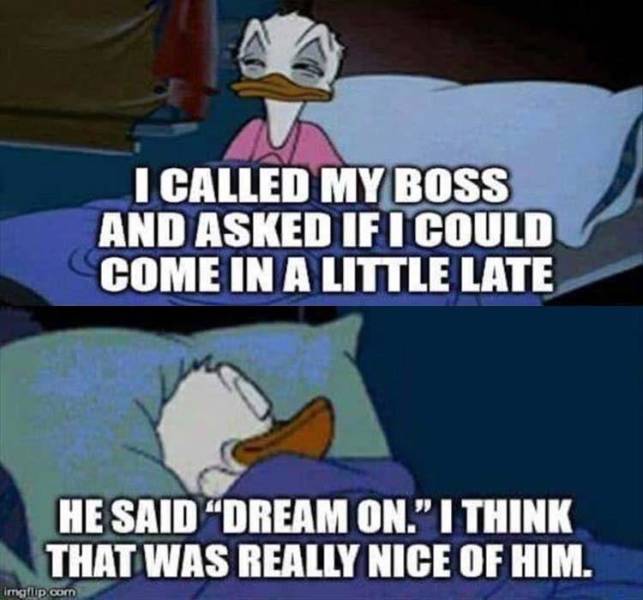 funny picdump 50 pics 17.html - 50 HD Photos | Premium Gallery 2019