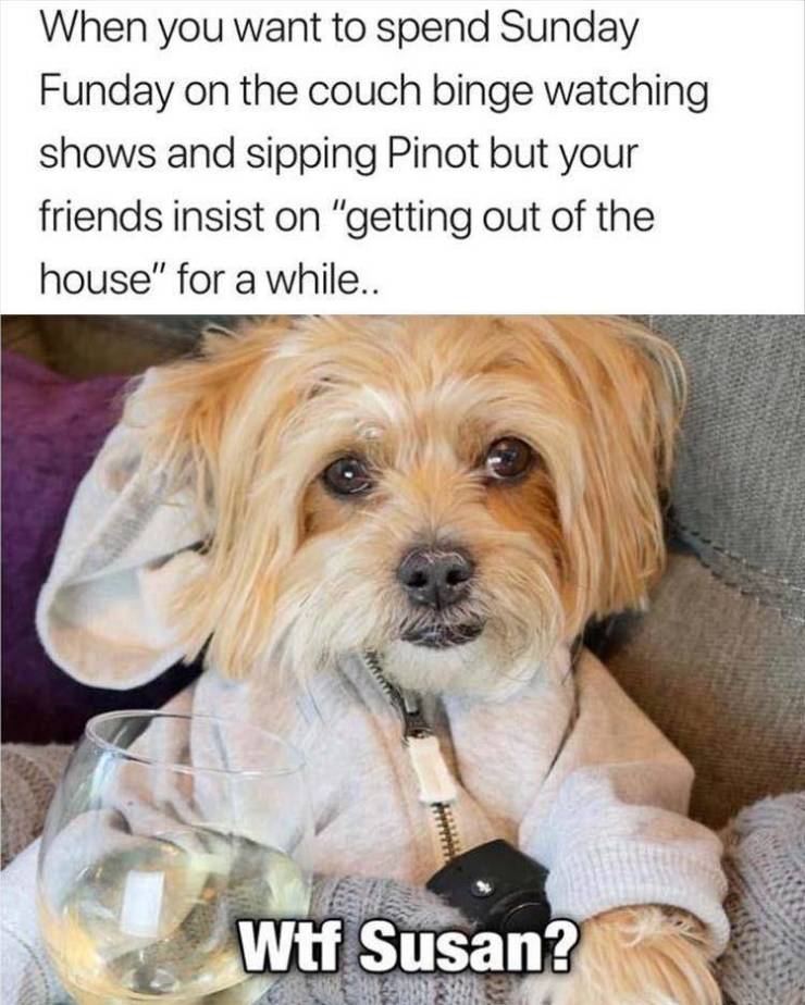 funny picdump 50 pics 17.html - 50 HD Photos | Premium Gallery 2019