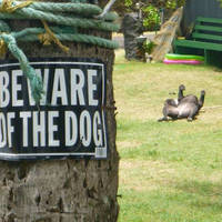 flaunt those pillow dresses 22 pics.html - 22 HD Photos | Premium Gallery 2020