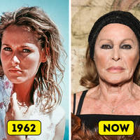 owner saves his dog from pit bulls video.html - 1 HD Video | Premium Gallery 2020