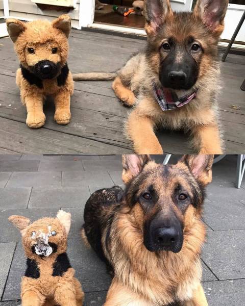 page,23,top 750 daily pics of the year 2019.html - 1 HD Photos | Premium Gallery 2019