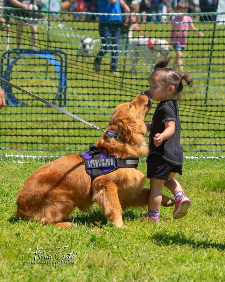 morning picdump 54 pics 6.html - 54 HD Photos | Premium Gallery 2019