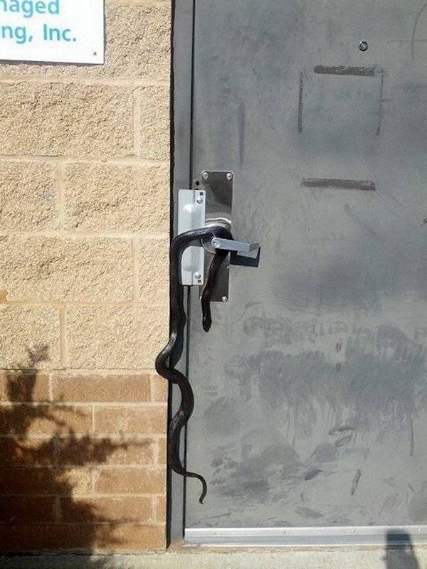 And On To The Nopetown We Go