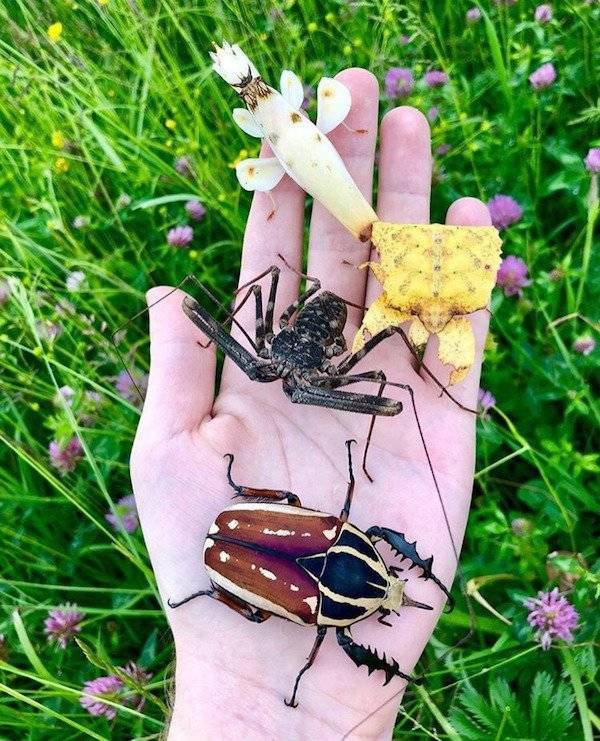 And On To The Nopetown We Go