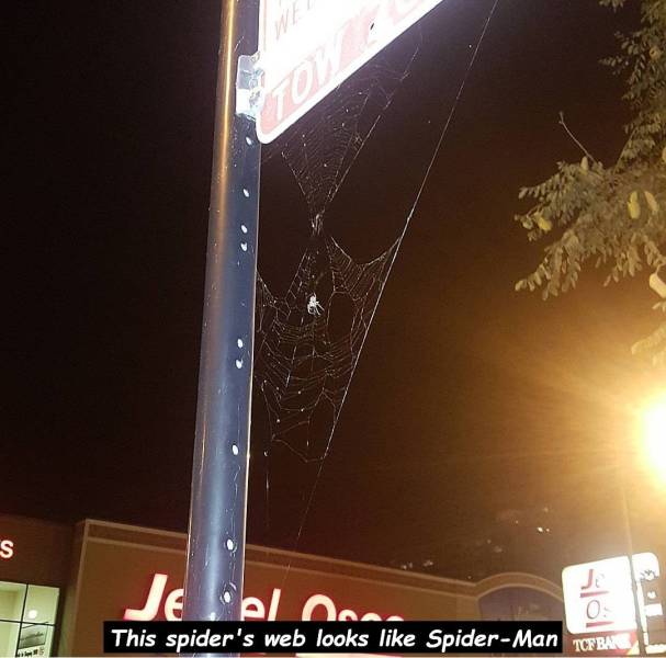 daily picdump 102 pics 49.html - 102 HD Photos | Premium Gallery 2019