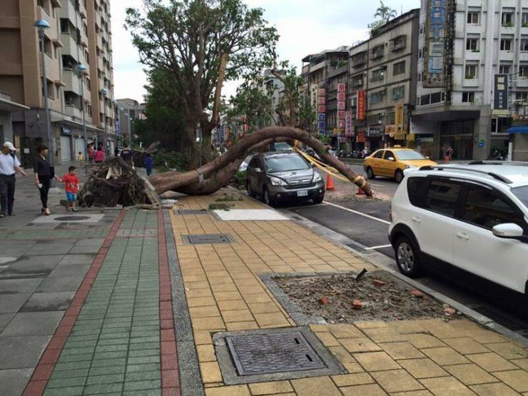 daily picdump 102 pics 49.html - 102 HD Photos | Premium Gallery 2019