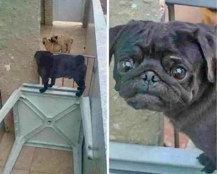 daily picdump 102 pics 49.html - 102 HD Photos | Premium Gallery 2019