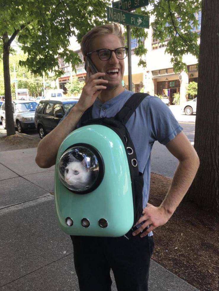 daily picdump 102 pics 49.html - 102 HD Photos | Premium Gallery 2019