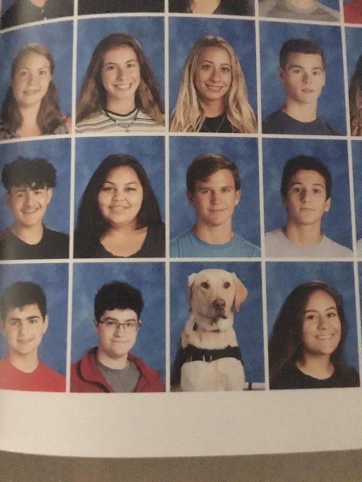 daily picdump 102 pics 49.html - 102 HD Photos | Premium Gallery 2019