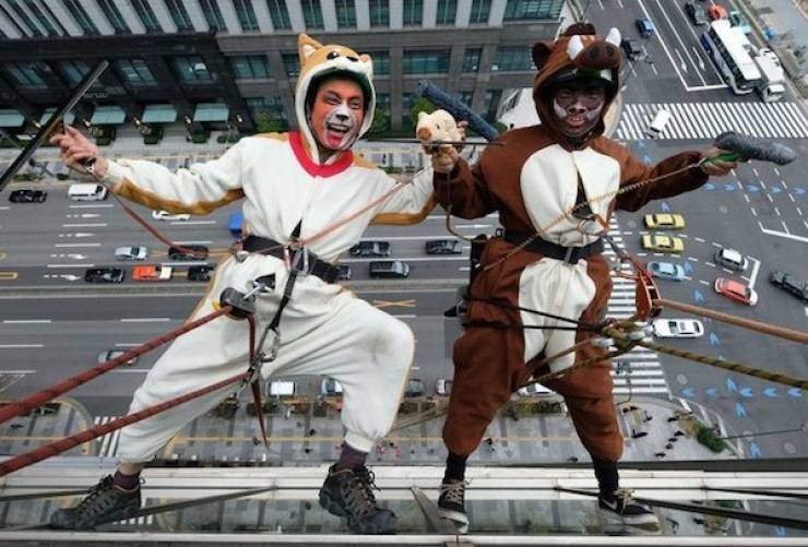 Look Wherever You Want, But Not Down