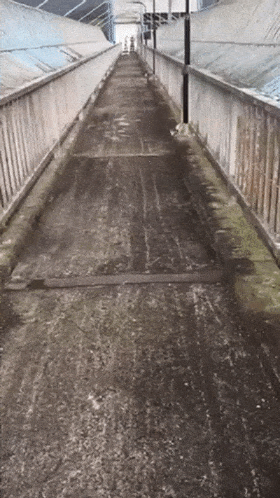 Look Wherever You Want, But Not Down