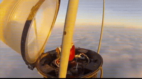 Look Wherever You Want, But Not Down