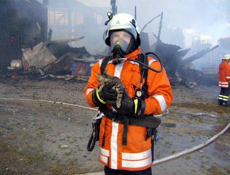 daily picdump 95 pics 33.html - 95 HD Photos | Premium Gallery 2019