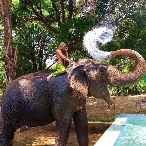 daily picdump 95 pics 33.html - 95 HD Photos | Premium Gallery 2019