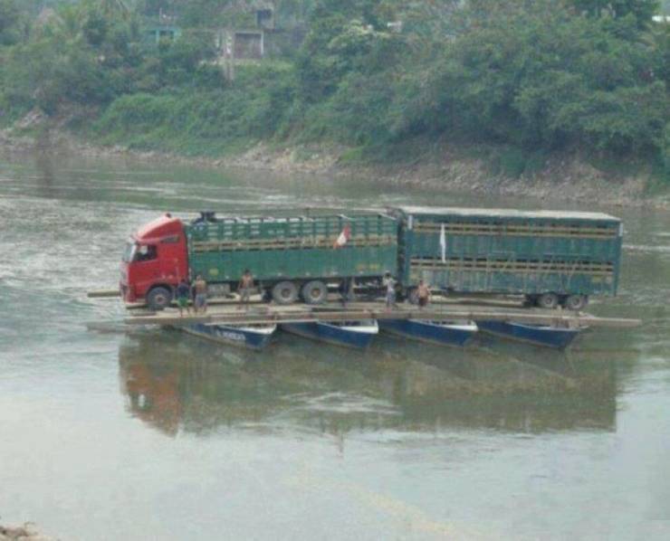 daily picdump 95 pics 33.html - 95 HD Photos | Premium Gallery 2019